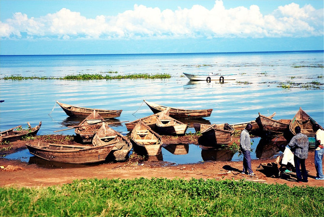 Lake Victoria Uganda Sal Lavallo